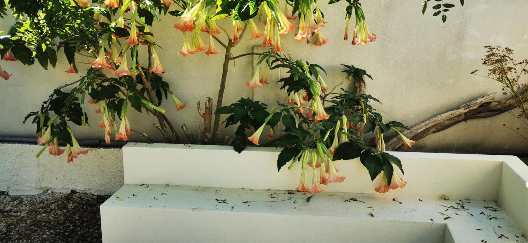 Marcorignan Maison Magnolia מראה חיצוני תמונה